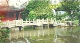 铁力