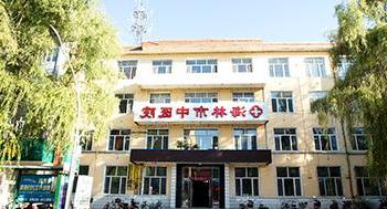 铁力