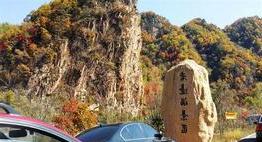 铁力