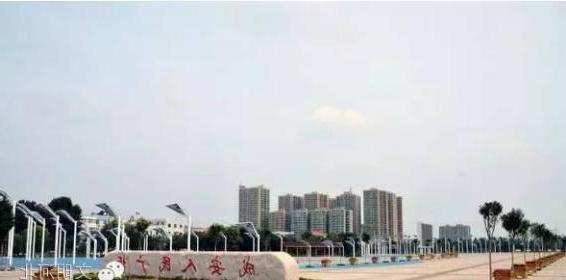 铁力