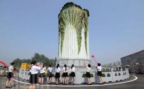 铁力