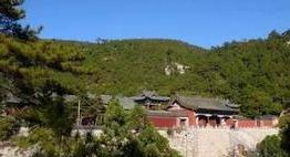 铁力
