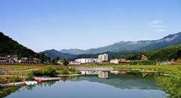 铁力