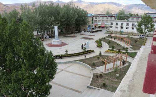 铁力