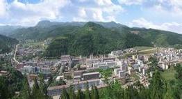 铁力