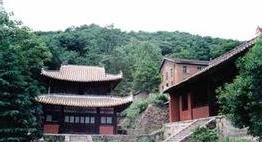 铁力