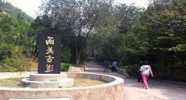 铁力