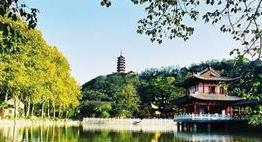 铁力