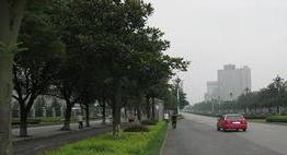 铁力