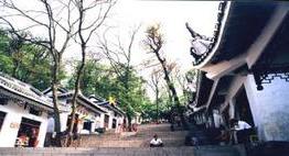 铁力