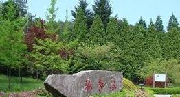 铁力