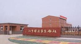 铁力