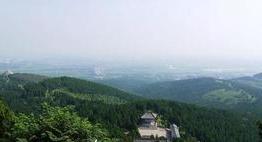 铁力