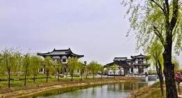 铁力
