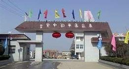 铁力