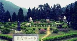 铁力