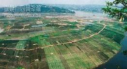 铁力