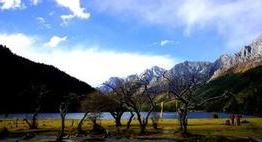 铁力