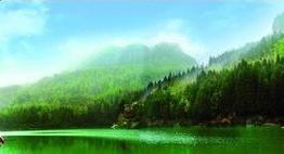 铁力
