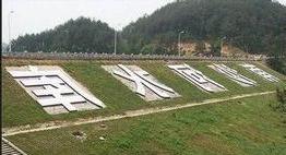 铁力