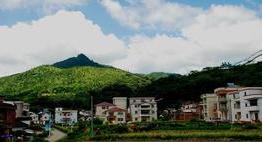 铁力