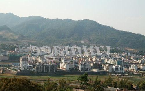 铁力