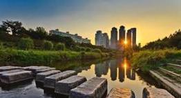 铁力